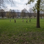 picnic13.jpg